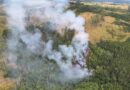 Požár lesa u obce Kuničky 20. 8. 2022