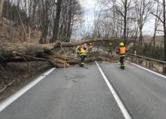 Spadlý strom zablokoval silnici I/43 14. 3. 2026