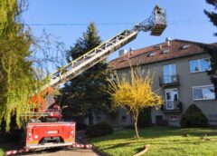 Odstranění nebezpečné části stromu na ulici Záhumenská 29. 4. 2026