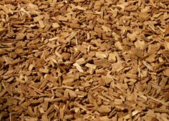 Planý poplach v Rájci-Jestřebí: místo požáru pouze pára ze štěpky 2. 4. 2026